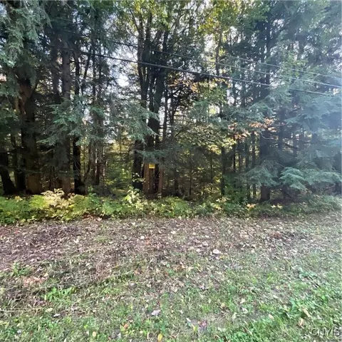Smartville, Boylston, NY 13083