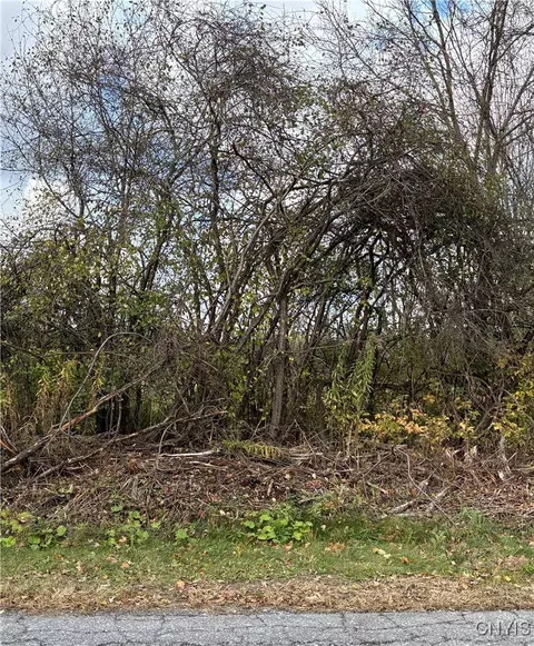 Hinds Rd - Lot #3 - Blue, Pamelia, NY 13601