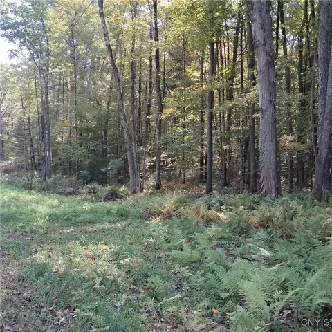 0 Stone Barn Rd, Vienna, NY 13042