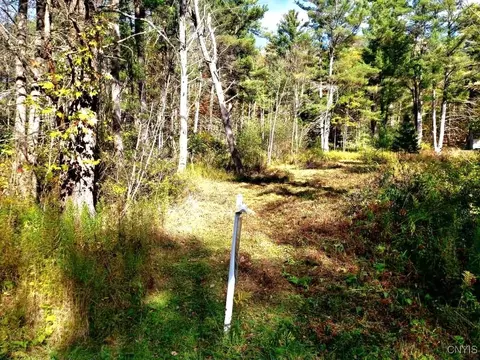 0 Midline Rd, Dryden, NY 13068