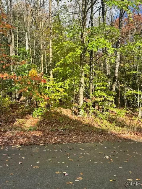 Silverstone Road, Russia, NY 13438