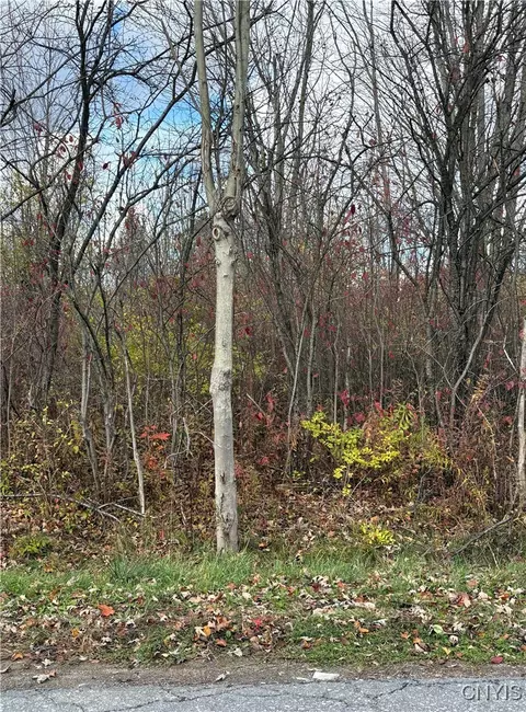 Hinds Rd - Lot 2 - Purple, Pamelia, NY 13601
