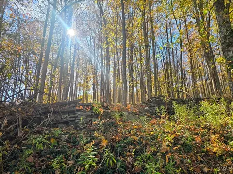 0 Crescent Ave, Oneida, NY 13421 photo 6