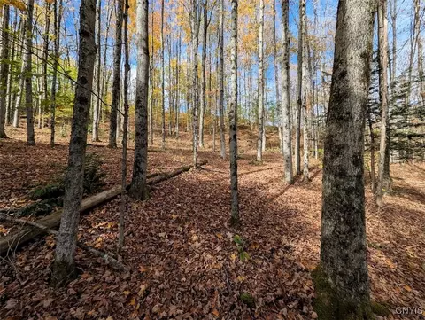 Akins Road N, Cohocton, NY 14826