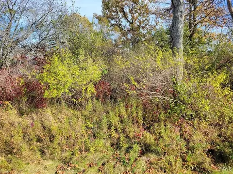 Cr-125, Lyme, NY 13622