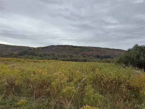 Route 446, Hinsdale, NY 14743