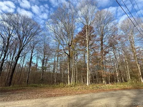 00 Magpie Ln, Truxton, NY 13158