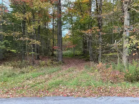 Voorhees Road, Parish, NY 13131