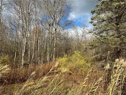 County Route 4, Scriba, NY 13126 photo 5