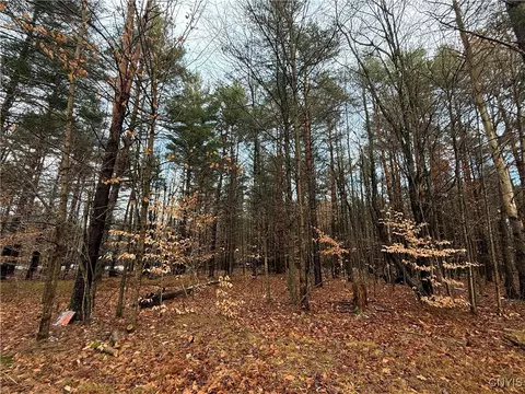 5098 Rugby Rd, Greig, NY 13312