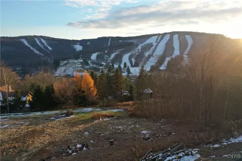 2018 Amalia Dr, Virgil, NY 13045