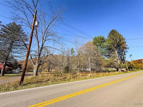 Olcott Road N, Big Flats, NY 14814