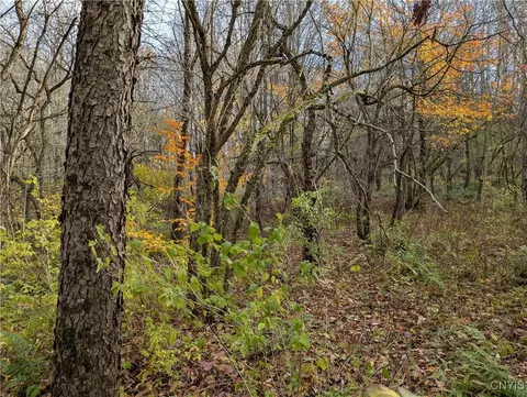 Ryan Road, Osceola, NY 13493