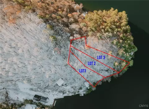 lot1 Dewey Point Ln, Diana, NY 13648