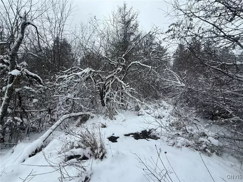 Eddy Road, Theresa, NY 13691