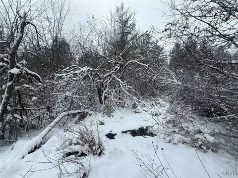 Eddy Road, Theresa, NY 13691