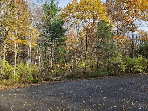 Birch Lane, Clayton, NY 13624
