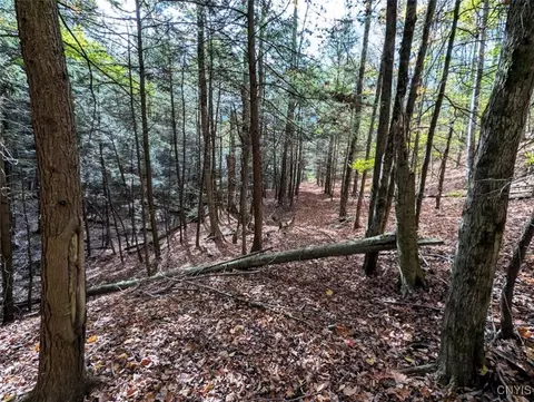 Akins Road, Cohocton, NY 14826