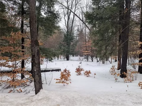 7418 Pennysettlement Rd, Lyonsdale, NY 13433