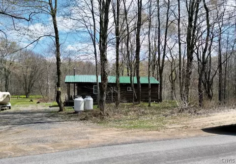 168 Carpenter Rd, Orwell, NY 13144