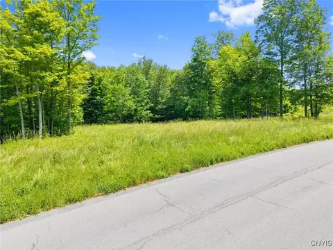 7103 Kittiwake Run #1, Manlius, NY 13104