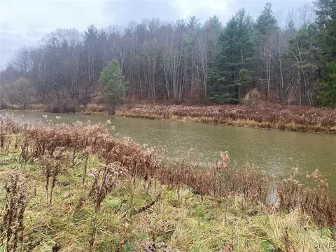 4236 Blouvet Rd, Friendship, NY 14739