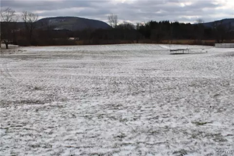 6554 State Route 80, Fabius, NY 13159