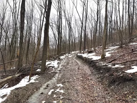Route 16, Ischua, NY 14743