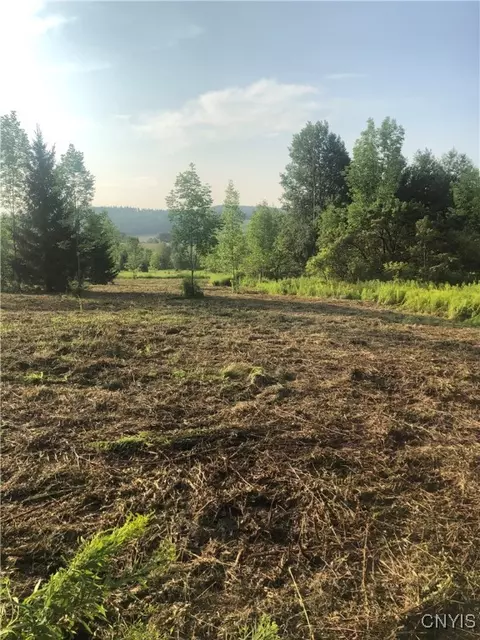 Midlum Road, Cuyler, NY 13158