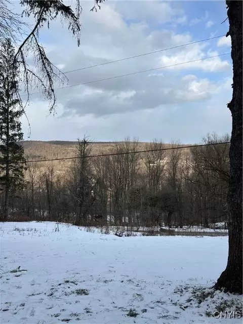 3023 W River Rd, Virgil, NY 13045