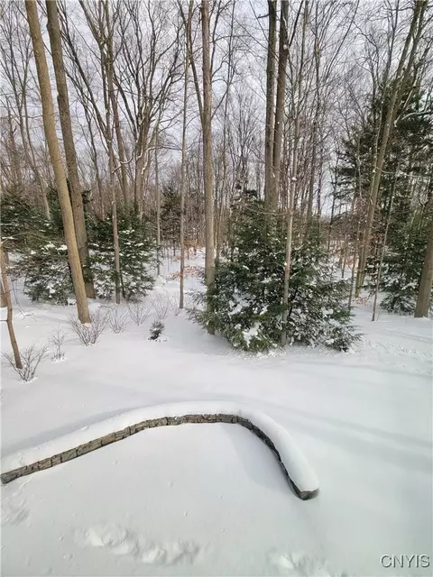 Other - 8700 E Patrol Rd, Lysander, NY 13027 photo 12 of 13