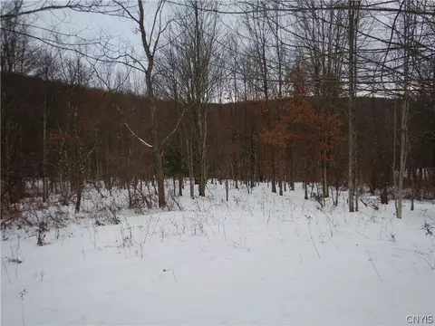 Newark Valley - Maine Rd, Newark Valley, NY 13811