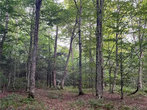 creek road, Annsville, NY 13471