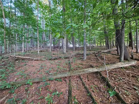Old State Rd, Denmark, NY 13619 photo 32