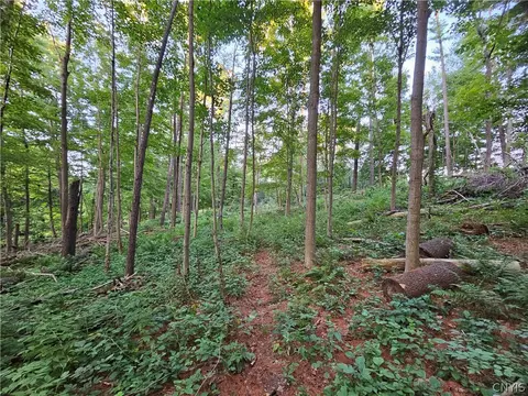 Old State Rd, Denmark, NY 13619 photo 26