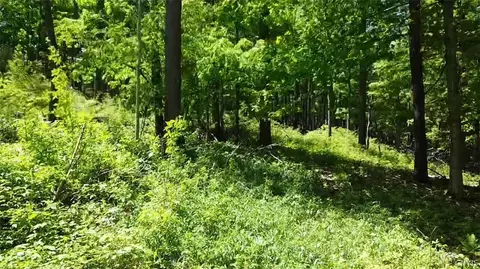 Old State Rd, Denmark, NY 13619 photo 12