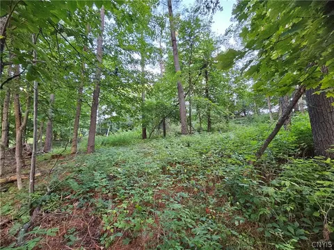Old State Rd, Denmark, NY 13619 photo 28