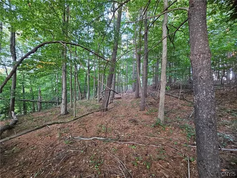 Old State Rd, Denmark, NY 13619 photo 35