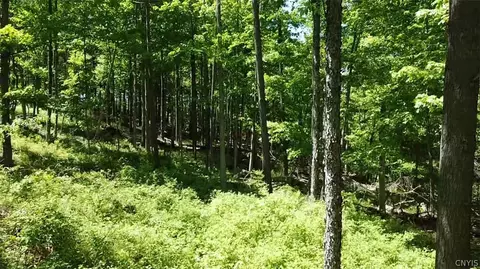 Old State Rd, Denmark, NY 13619 photo 13