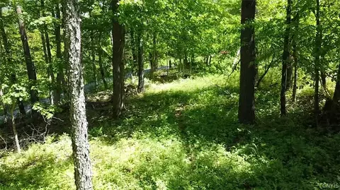 Old State Rd, Denmark, NY 13619 photo 17