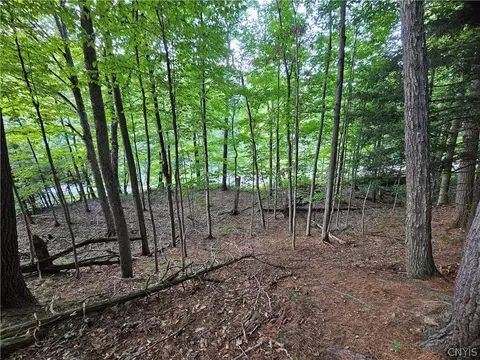 Old State Rd, Denmark, NY 13619 photo 31