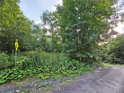 Old State Rd, Denmark, NY 13619