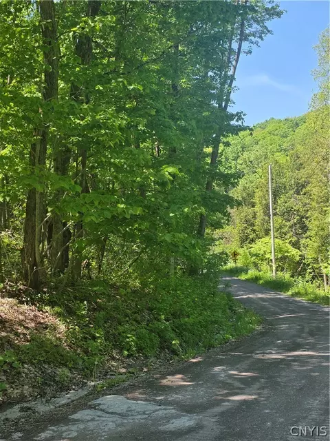 Old State Rd, Denmark, NY 13619 photo 20