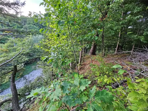Old State Rd, Denmark, NY 13619 photo 22