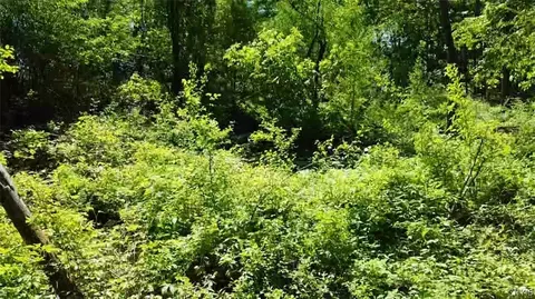 Old State Rd, Denmark, NY 13619 photo 11