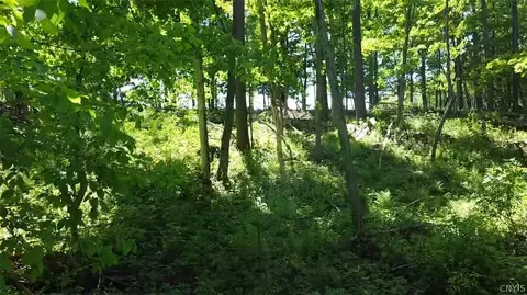 Old State Rd, Denmark, NY 13619 photo 14