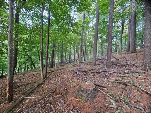 Old State Rd, Denmark, NY 13619 photo 34
