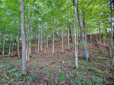 Old State Rd, Denmark, NY 13619 photo 23