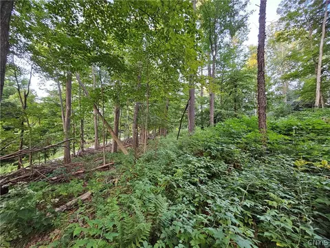 Old State Rd, Denmark, NY 13619 photo 27