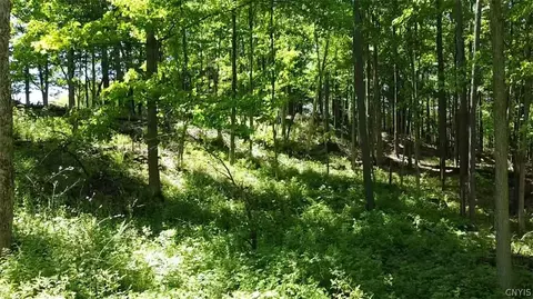 Old State Rd, Denmark, NY 13619 photo 15